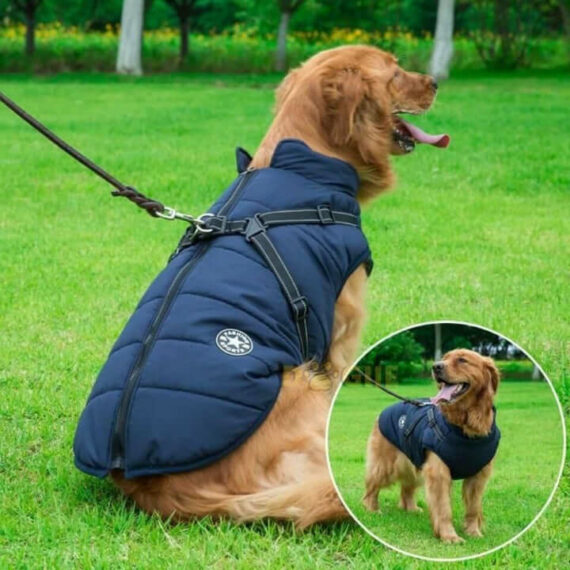 Dogiie Waterproof Winter Jacket with Built-in Harness