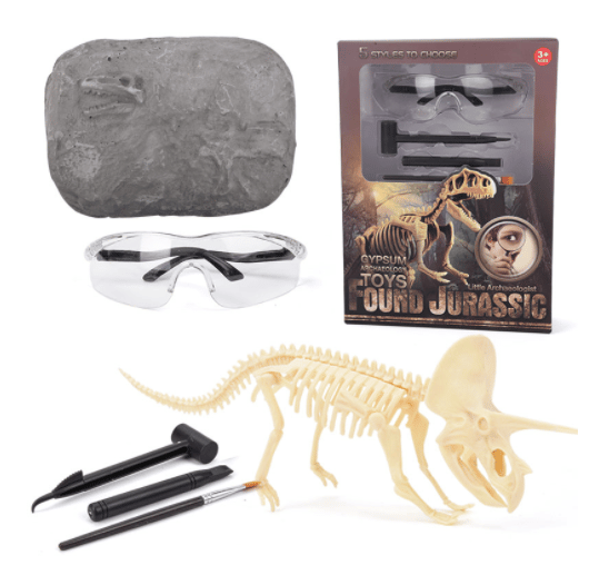 Great Educational Toy for Kids - 2022 New Arrival Dinosaur Fossil Digging Kit