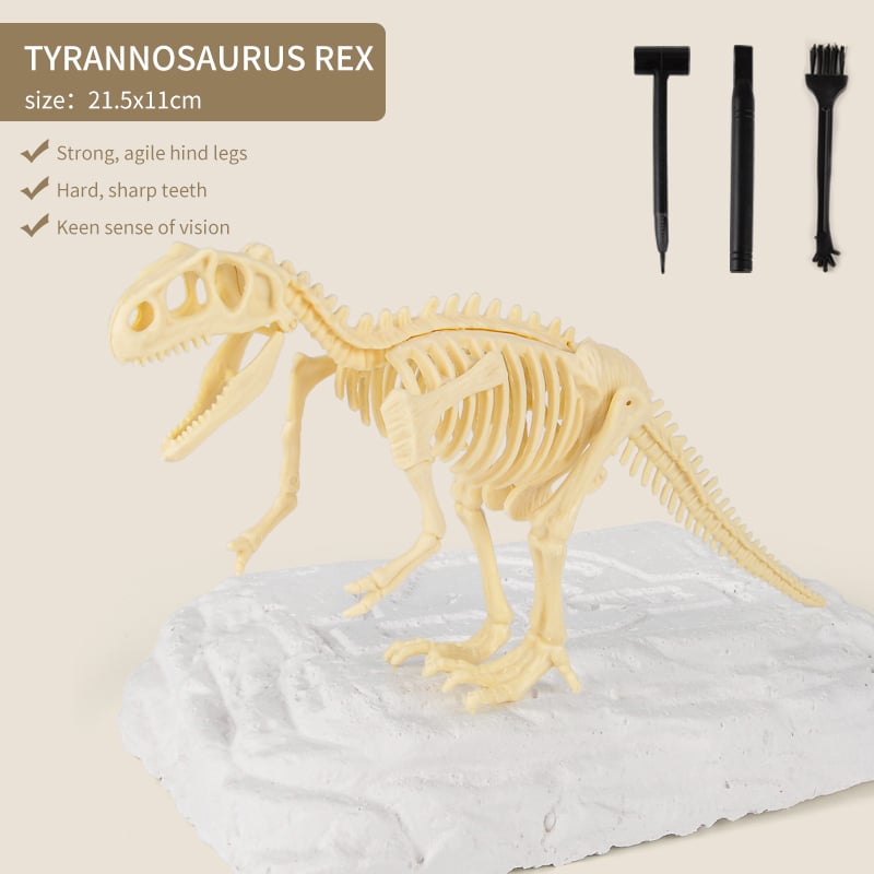 Great Educational Toy for Kids - 2022 New Arrival Dinosaur Fossil Digging Kit