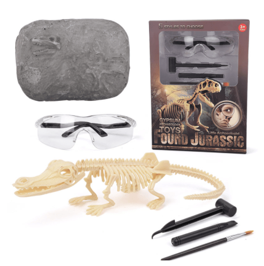 Great Educational Toy for Kids - 2022 New Arrival Dinosaur Fossil Digging Kit