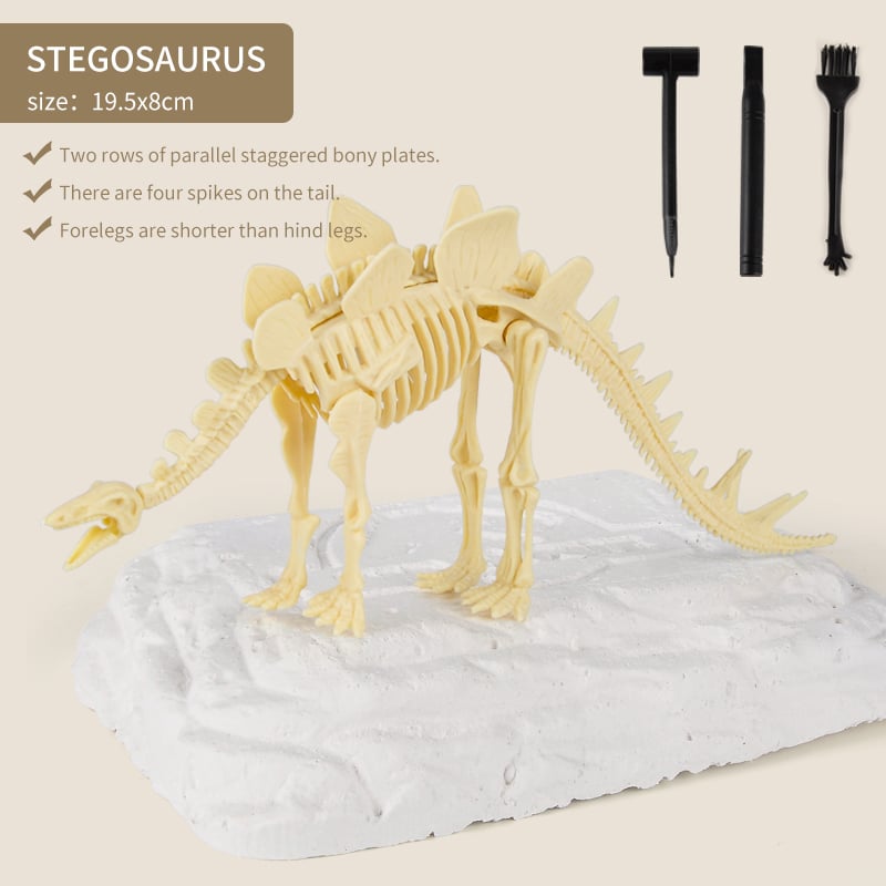 Great Educational Toy for Kids - 2022 New Arrival Dinosaur Fossil Digging Kit