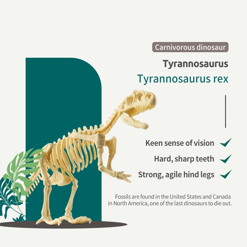 Great Educational Toy for Kids - 2022 New Arrival Dinosaur Fossil Digging Kit