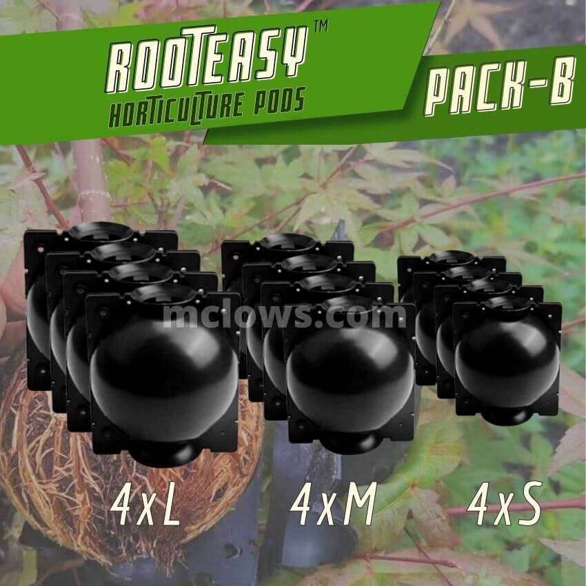 Mclows RootEasy Plant Rooting Box Seeding Case