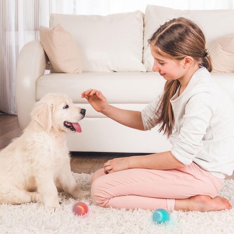 Pups Den PlayPup Self-Moving Ball