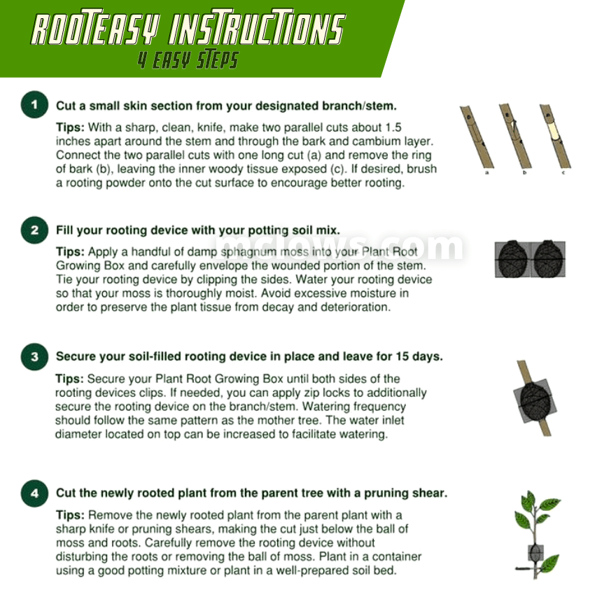 Mclows RootEasy Plant Rooting Box Seeding Case