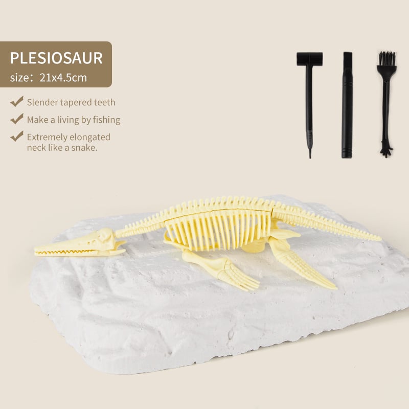 Sailorwholesale Great Educational Toy for Kids - 2022 New Arrival Dinosaur Fossil Digging Kit