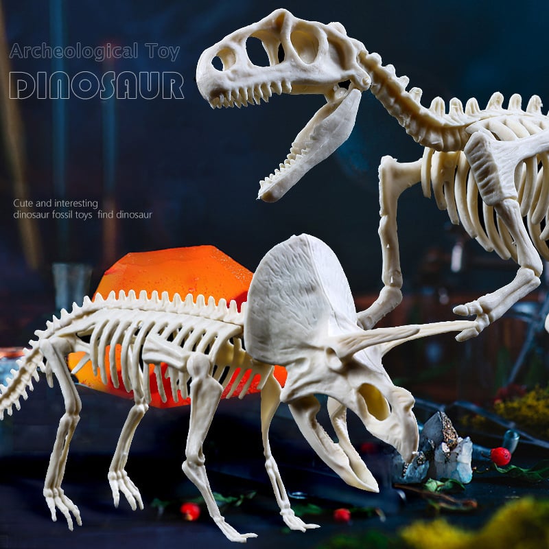 Sailorwholesale Great Educational Toy for Kids - 2022 New Arrival Dinosaur Fossil Digging Kit