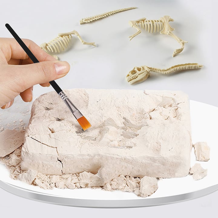 Sailorwholesale Great Educational Toy for Kids - 2022 New Arrival Dinosaur Fossil Digging Kit