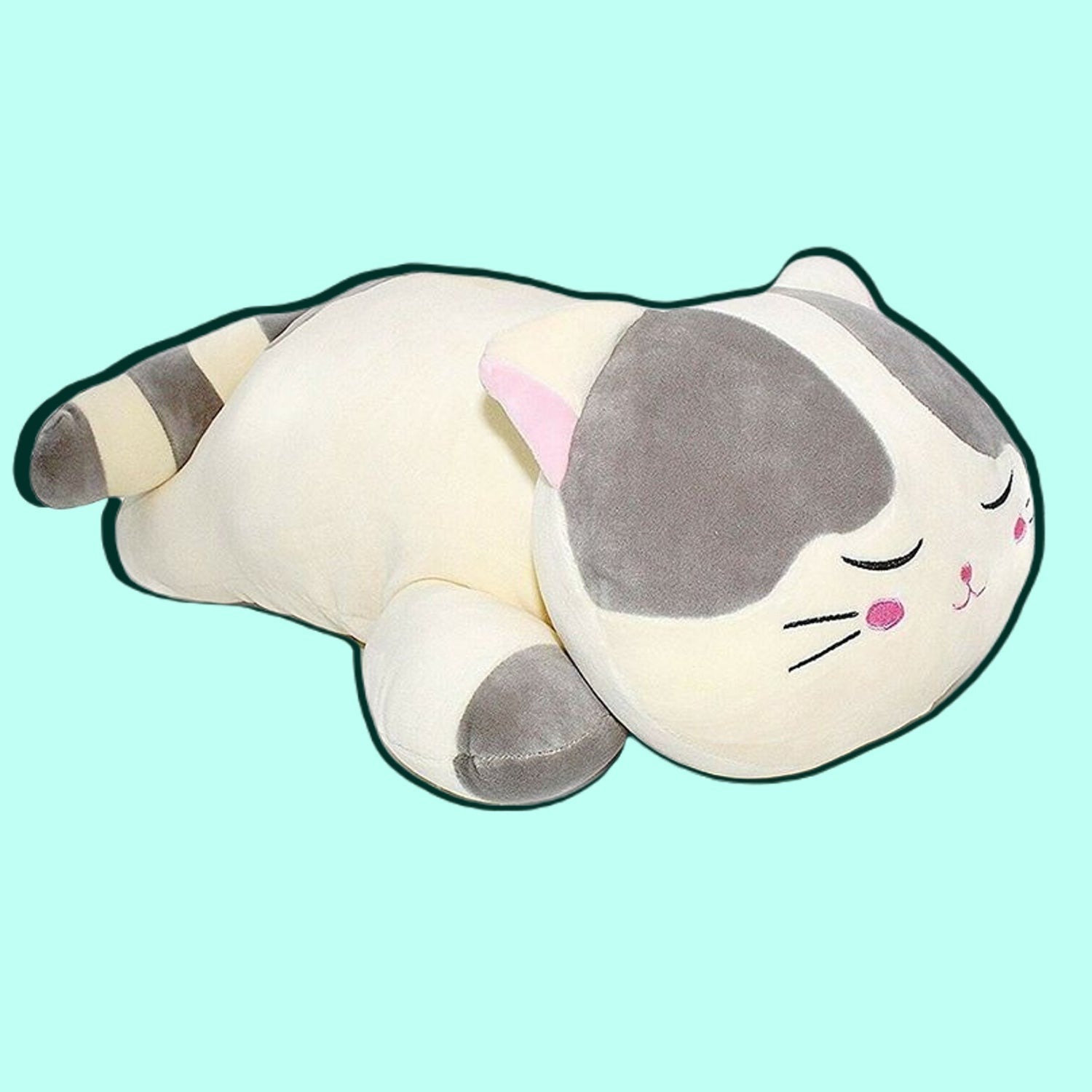 Soft Sleeping Cat