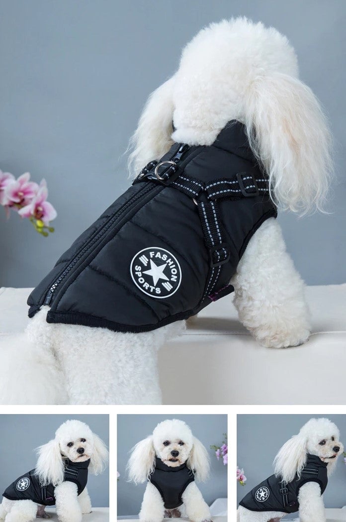 Waterproof Winter Dog Jacket with Built-in Harness