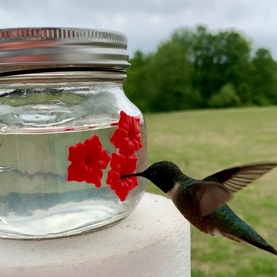 Last Day Promotion 50% OFF - Beautiful Mason Jar Hummingbird Feeder W/Three Ports