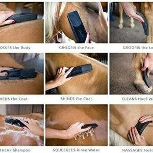 6 IN 1 SHEDDING GROOMING MASSAGE BRUSH – Buy More,Save More