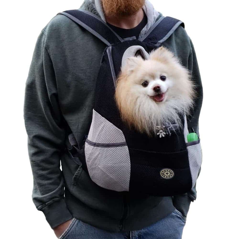 Fur Sport - Pet Backpack Carrier