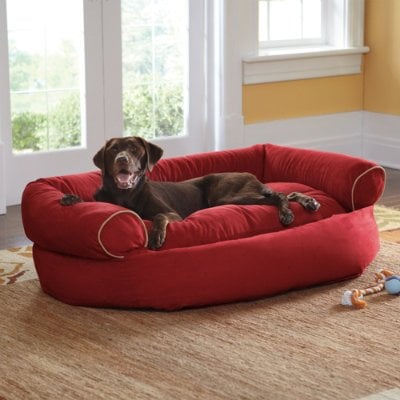 (LAST DAY - 75% OFF) Sofa Dog Bed 2023