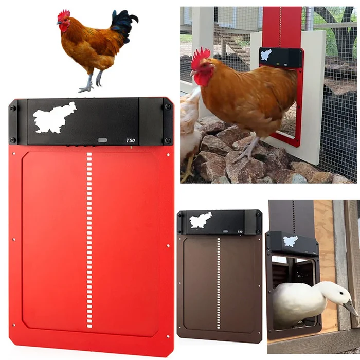 LAST DAY 49% OFF - Automatic Chicken Coop Door