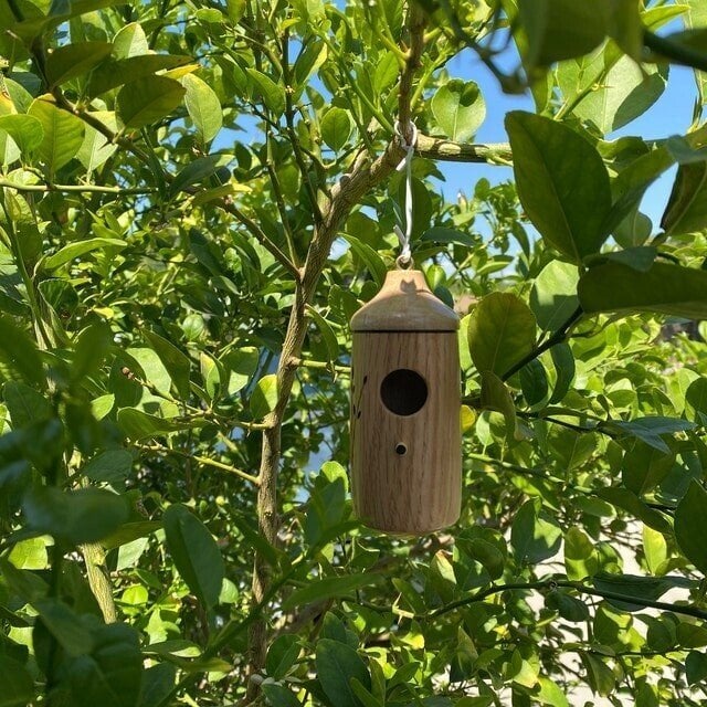 Last Day Sale 70% OFF - Wooden Hummingbird House-Gift for Nature Lovers