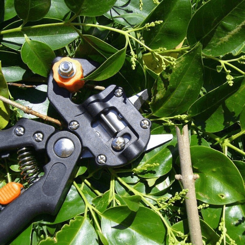 Spring Cleaning Big Sale-30% OFF-Professional Garden Grafting Tool