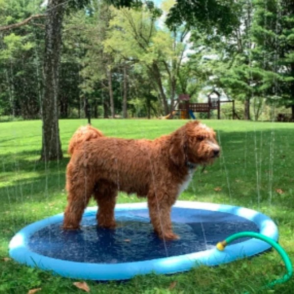 50% OFF Today Summer Splash Pad for Kids and Pets