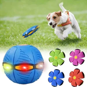 Flying Saucer Ball Dog Toy