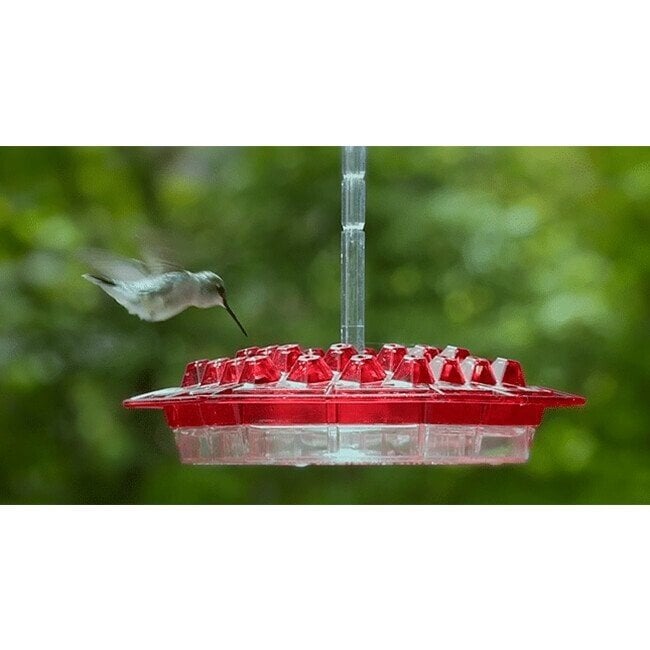 LAST DAY - 40% OFF-Mary's Hummingbird Feeder