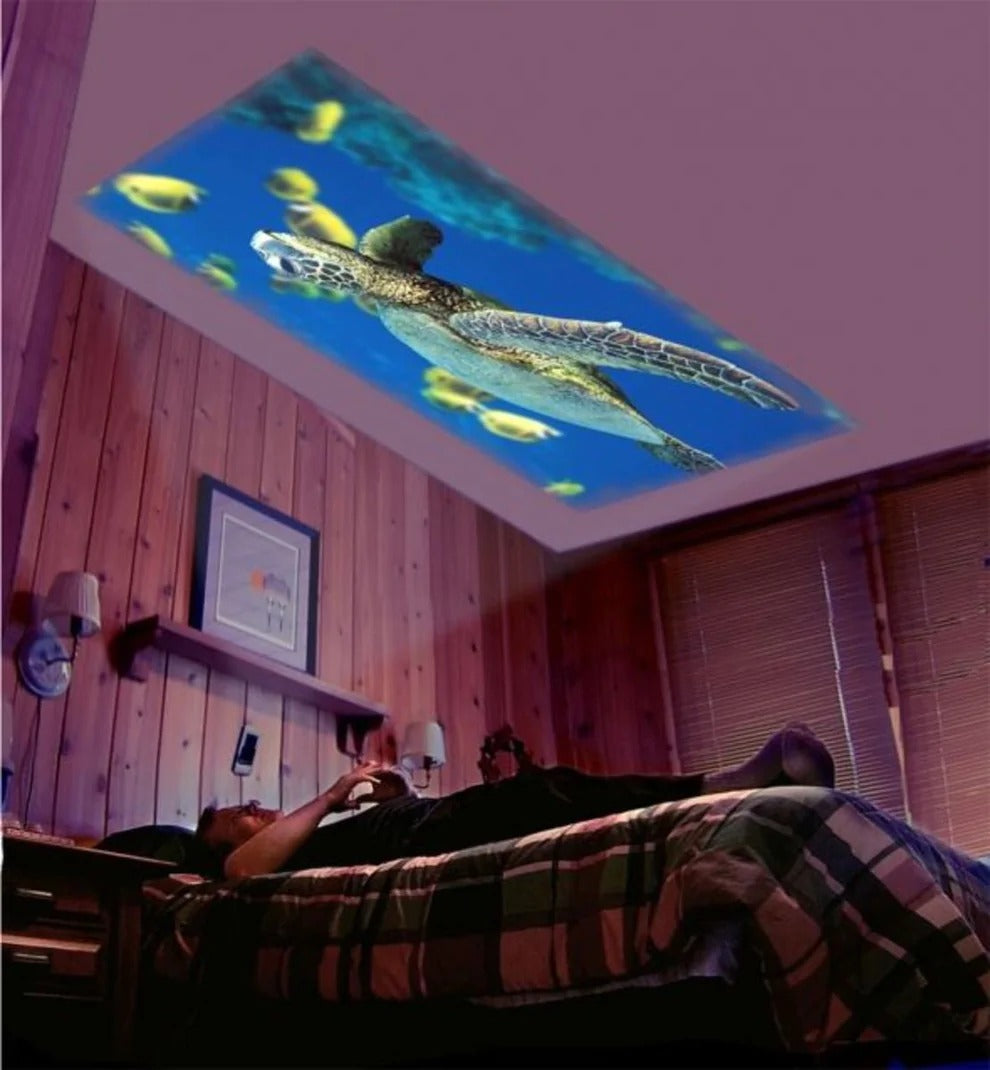 MiniProjector