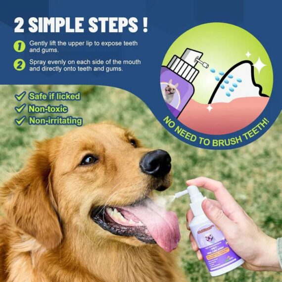 LAST DAY PROMOTION 49% OFF - Teeth Cleaning Spray for Dogs & Cats