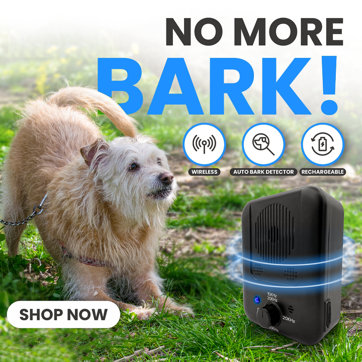 NoBarkBuddy - Dog Barking Trainer