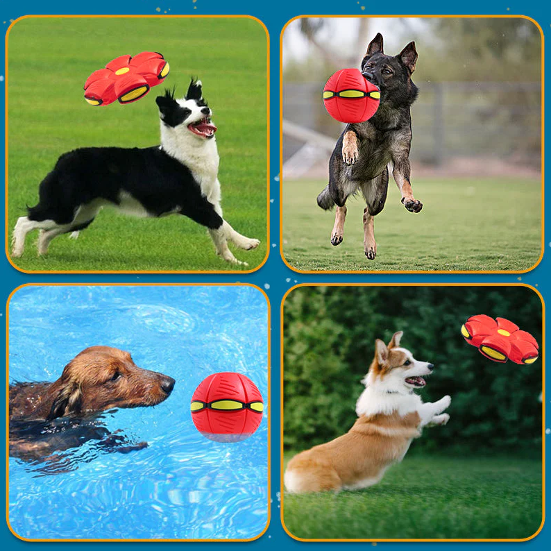 Pet Toy Flying Saucer Ball