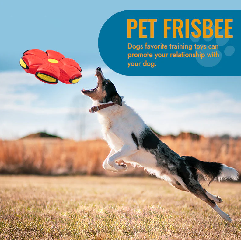 Pet Toy Flying Saucer Ball