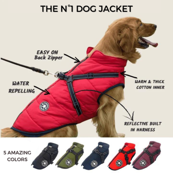 3 In 1 Dog Winter Jacket