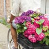 Distinguisk Last Day 70% OFF-Outdoor Artificial Hydrangea Flowers