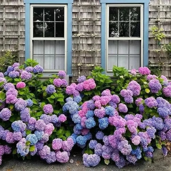 Distinguisk Last Day 70% OFF-Outdoor Artificial Hydrangea Flowers