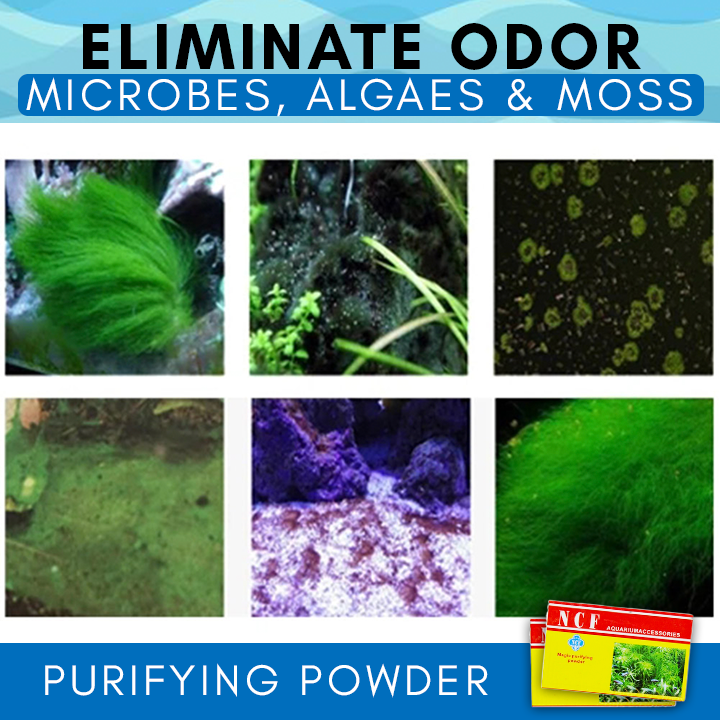 BioClear Aquarium Purifying Powder