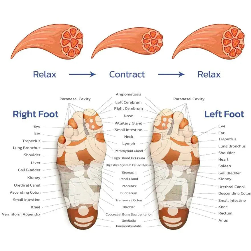 Sere Noir - EMS Foot Massager