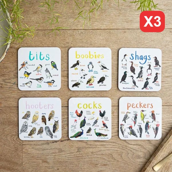 Last Day 49% OFF - Set of 6 Bird Pun Coasters