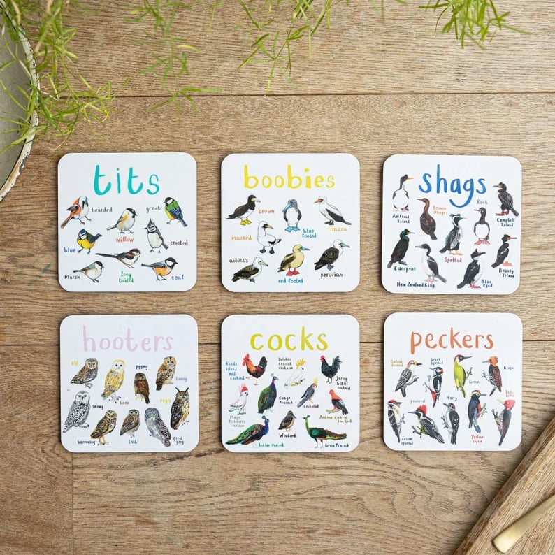 Last Day 49% OFF – Set of 6 Bird Pun Coasters