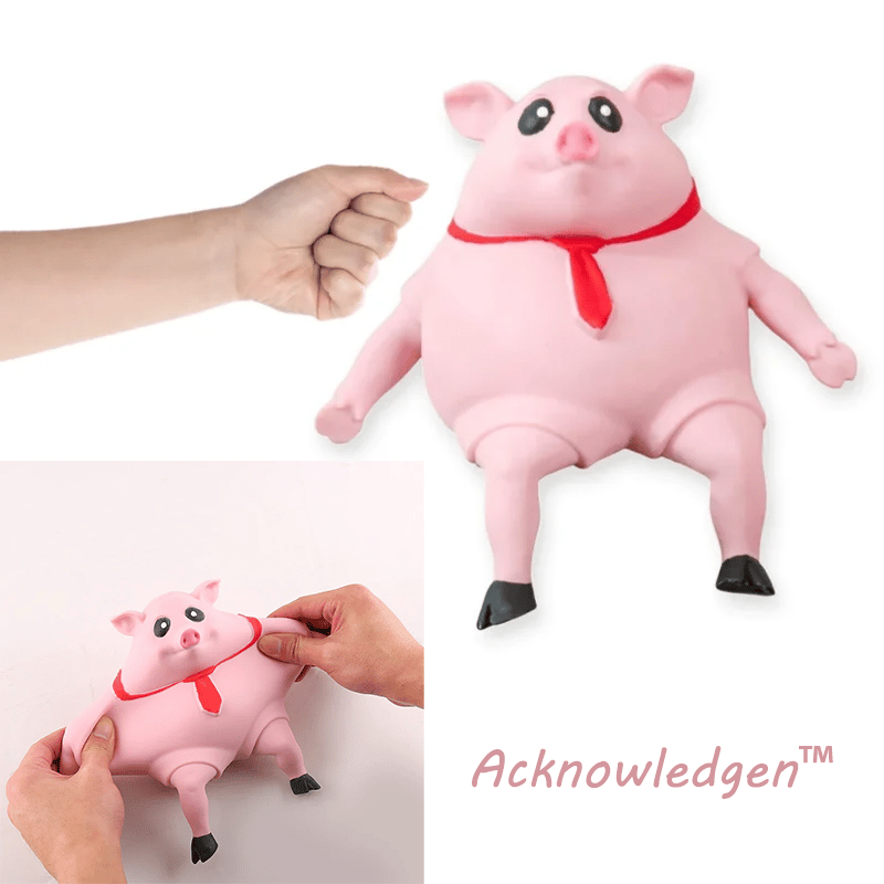 Last Day Promotion 49% - Piggy Squeeze Toy | Acknowledgen