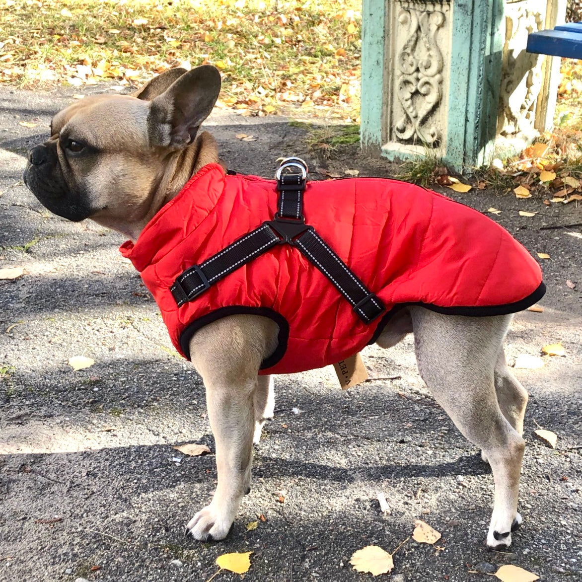 LuluPawz 3 in 1 Winter Coat