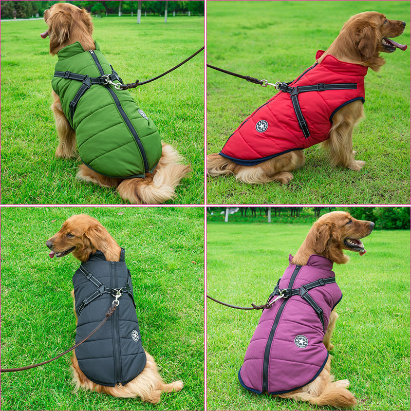 LuluPawz 3 in 1 Winter Coat