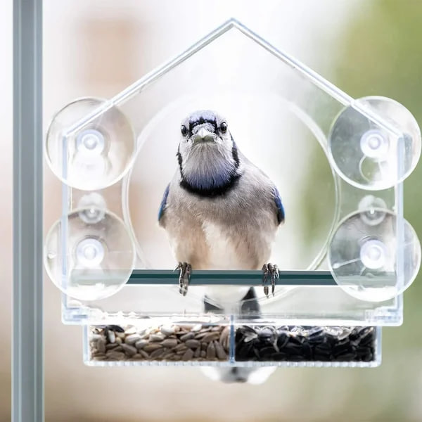 Window Bird Feeder for Outside