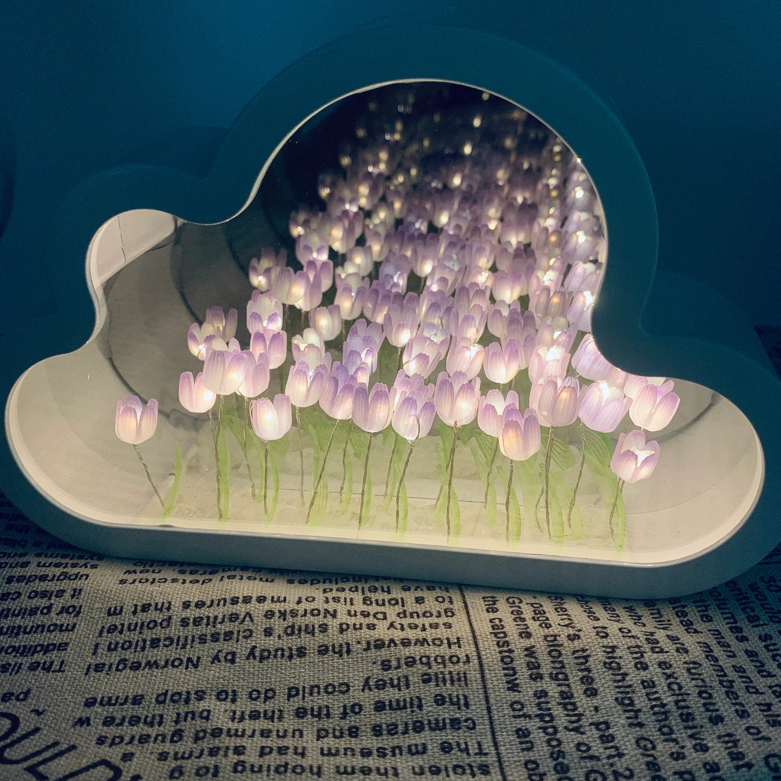 Cloud Mirror With Tulips Inside