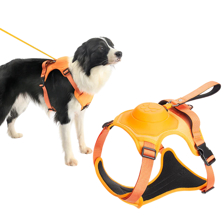 ComfyWalk - Retractable Dog Leash harness