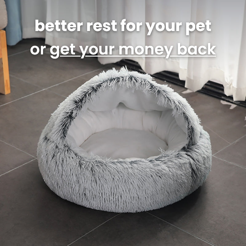 cozycave pet bed