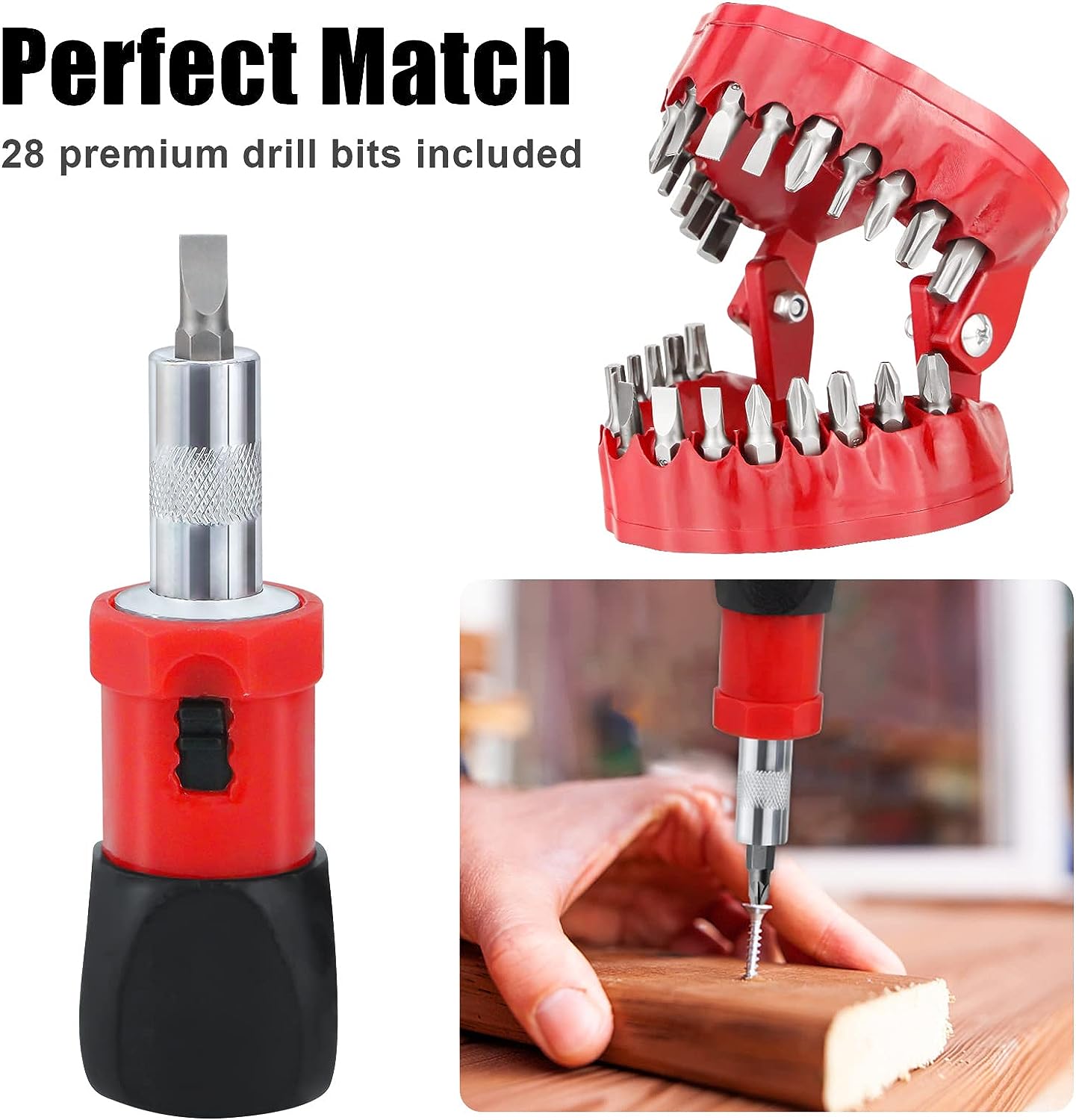 Denture Drill Bit Holder with 28 Bits Set