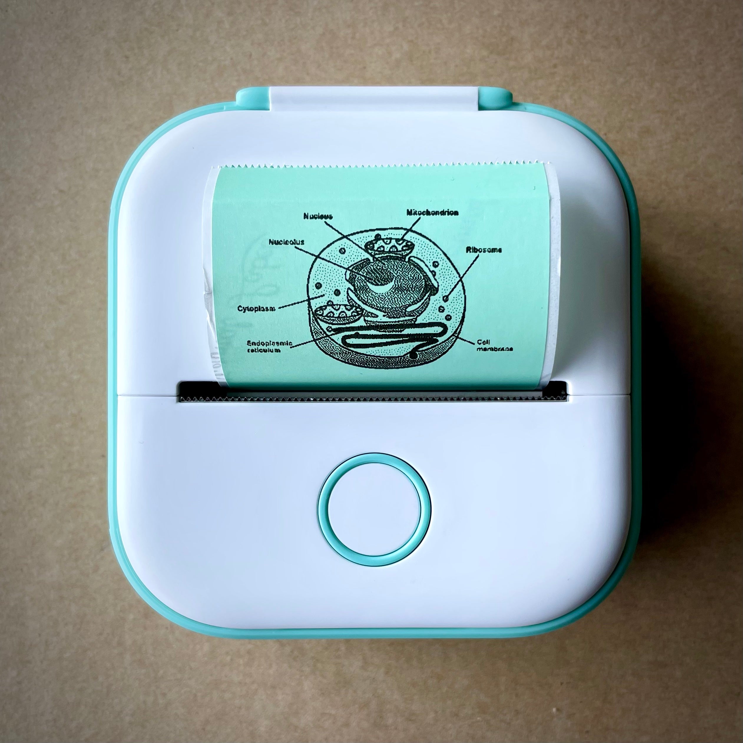 Nuclasx Pocket Printer