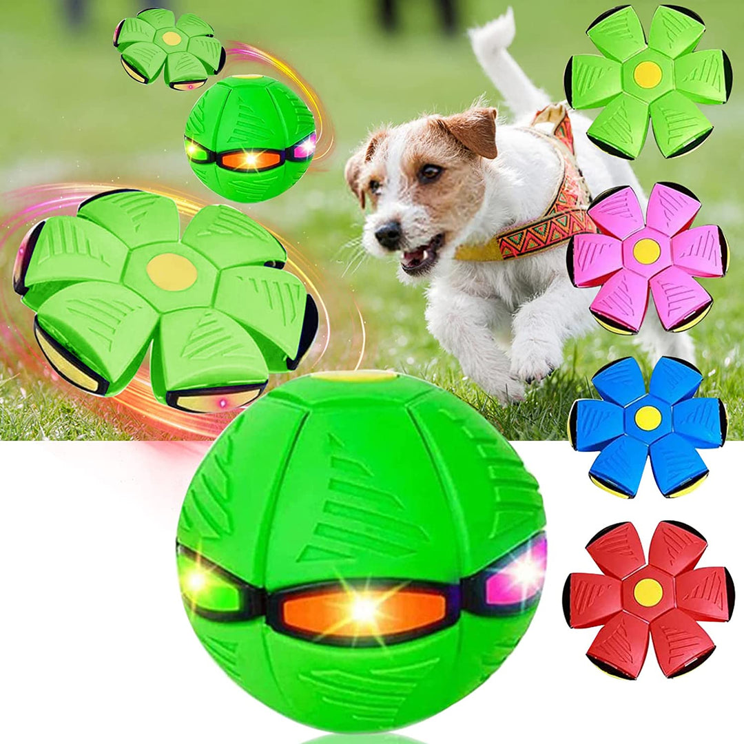 Pawsome - Flying Saucer Ball