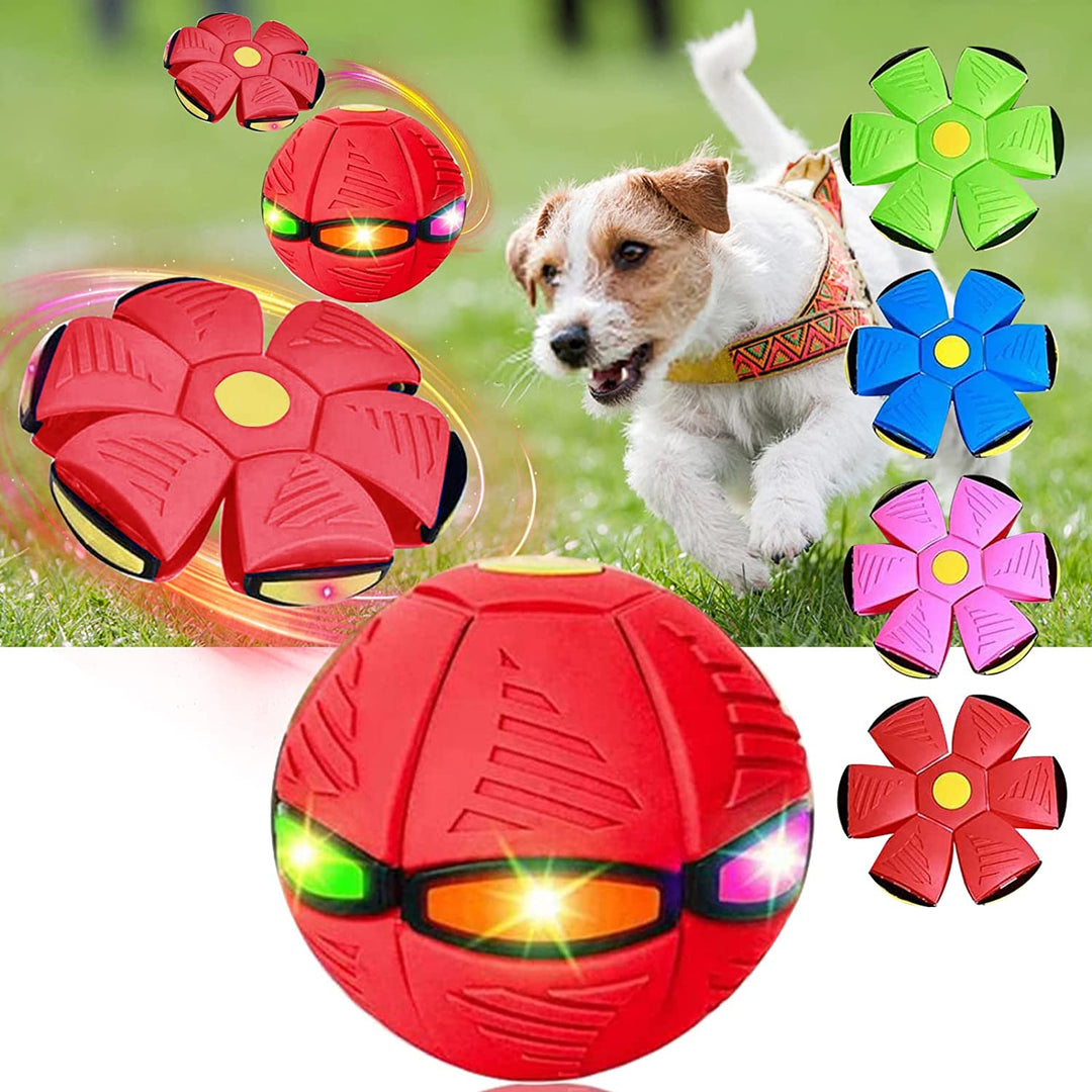 Pawsome - Flying Saucer Ball