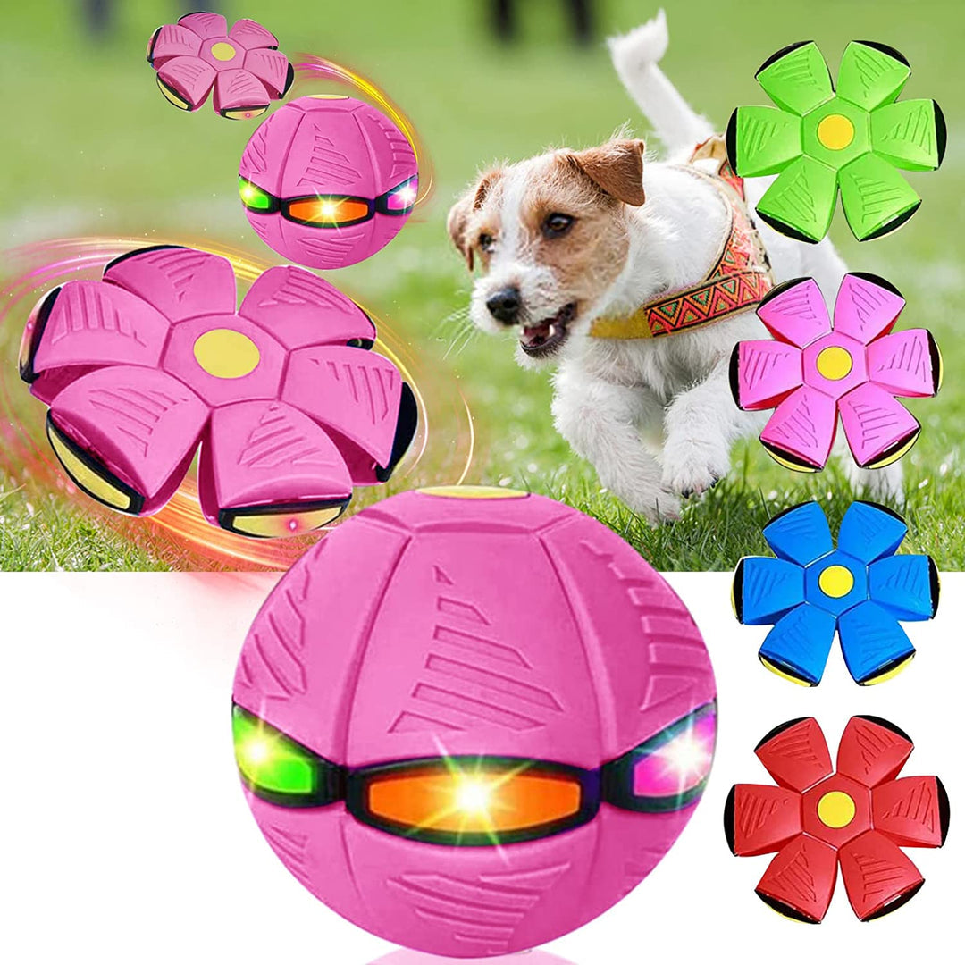 Pawsome - Flying Saucer Ball