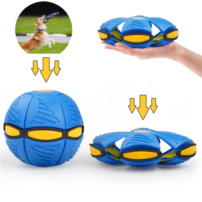 Pawsome - Flying Saucer Ball