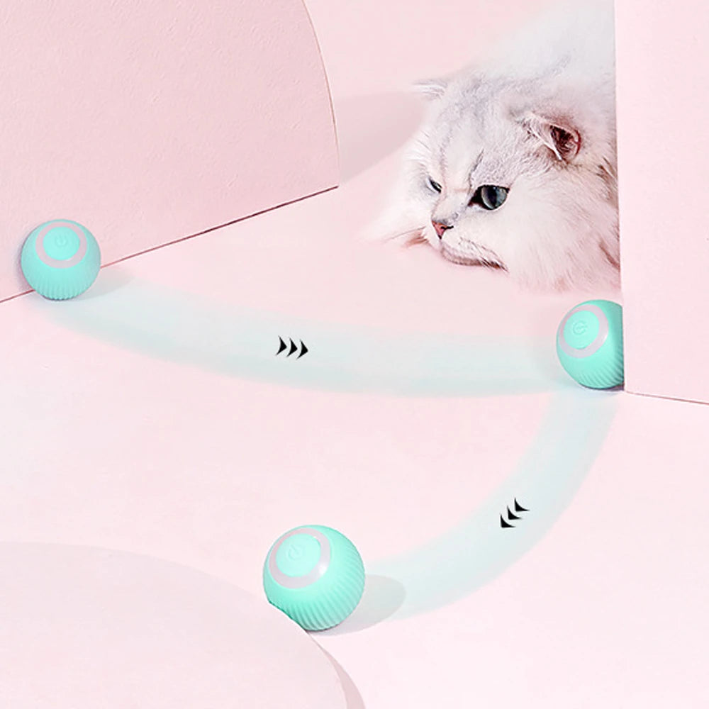 SmartBall – Interactive Pet Toy